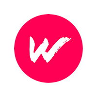 WiseVPN icon