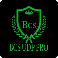 BCS UDP PRO - Secure VPN icon