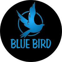 BLUE BIRD PRO - Secure VPN icon