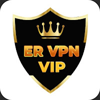 ER VPN VIPicon