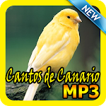 Cantos de Canario Mp3 icon