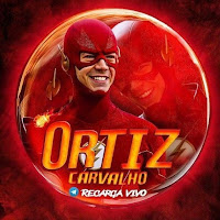 ORTIZ VPN APK