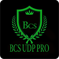 BCS UDP PRO - Secure VPNicon