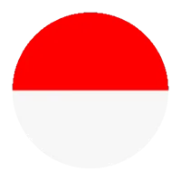 Indonesia VPN Proxy - Safe VPN APK