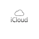 iCloud Check icon