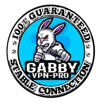 Gabby VPN Pro APK