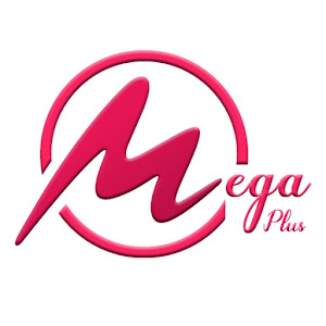 Mega  Plus Vpn icon