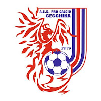 A.S.D. Procalcio Cecchinaicon