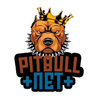 PITBULL VPN 5G+icon