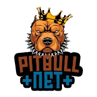PITBULL VPN 5G+ APK