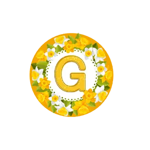 GOLD FAIR VPN APK