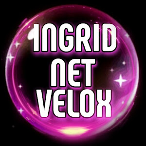 INGRID NET VPN icon