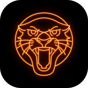 Jaguar VPN - Fast & Secure APK