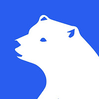 Polar VPN APK