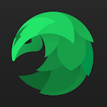 SafeShell VPN - Stream Freedom icon