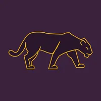 Panther VPN. Fast & Secure WiFi Protection APK