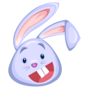 SmallRabbitVPN icon