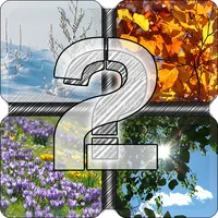 4 Photos - One Word 2 APK