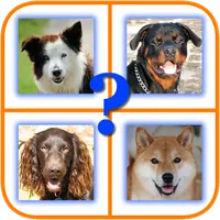 Good Dog APK