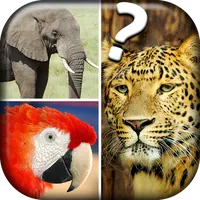 Quiz Me - What Animal Am I? APK