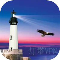 VPN proxy shadowsocket LightVPN APK