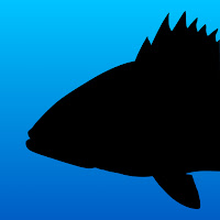 Fish Rules: Fishing Appicon