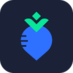 Aman VPN APK