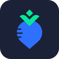 VPN-RadishVPN/VPN Proxy icon