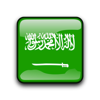 Saudi Arabia VPN - Free VPN Proxy : Unblock Sitesicon