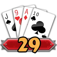 29 Card Game Challenge APK