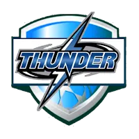 THUNDER INC VPN APK