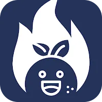 FastOrange VPN APK