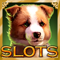 Casino Slots Mania Machines icon