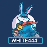 VPN White 444 APK