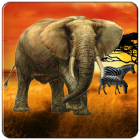 Safari Tour Slot icon