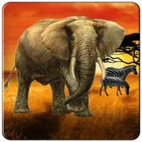 Safari Tour Slot icon