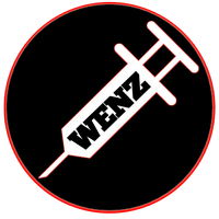 WENZ VPN icon