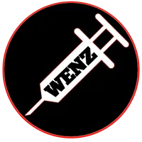 WENZ VPN APK