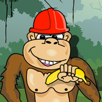 Crazy Monkey icon