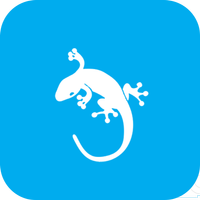 GeckoVPN - Free Unlimited VPN icon