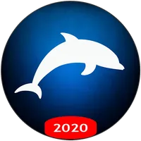 Dolphin VPN - Faster & Safer Internet, Free VPN APK