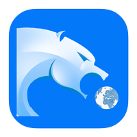 Browser VPN Proicon