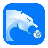 Browser VPN Pro APK
