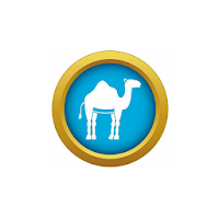 IRAN VPN icon