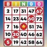 Bingo Classic Game - Offline Free APK