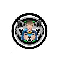 PAING VPN PRO APK