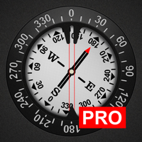 Compass Pro Mod icon