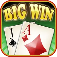 Big Win Blackjack™ icon