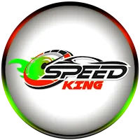 Speed King VIP - Secure VPN icon