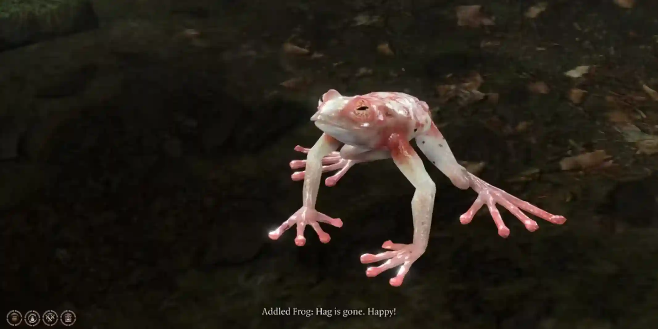 Baldur's Gate 3 Guide: Addled Frog (Location, Uses, and Rewards)